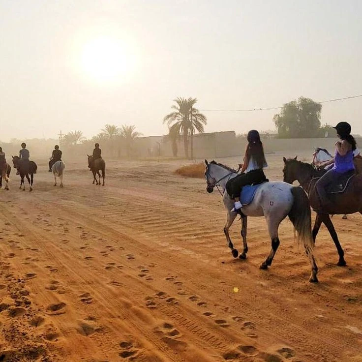 تجربة ركوب الخيل لا تنسى