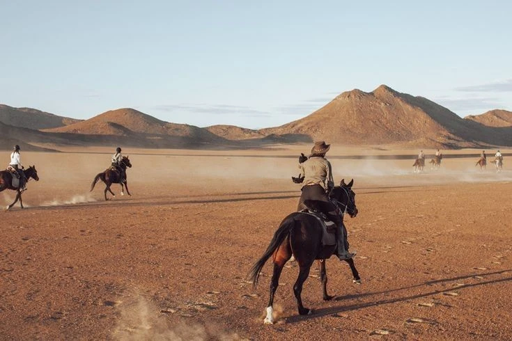 تجربة ركوب الخيل لا تنسى