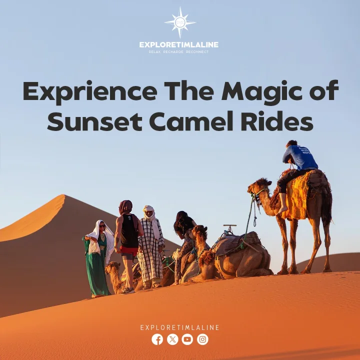 Camel Riding